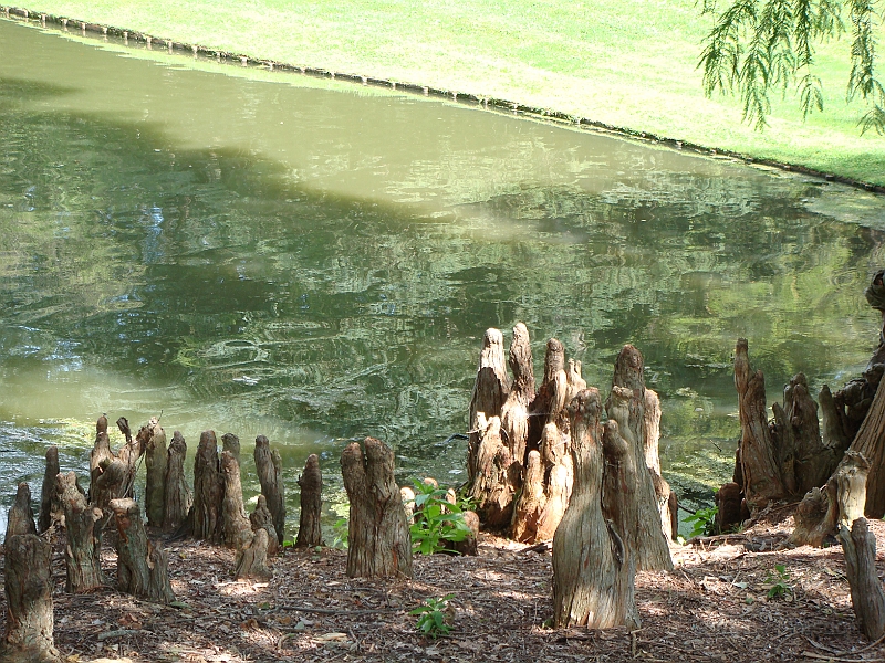 019 Longwood Gardens [2008 August 23].JPG - Longwood Gardens in Pennsylvania